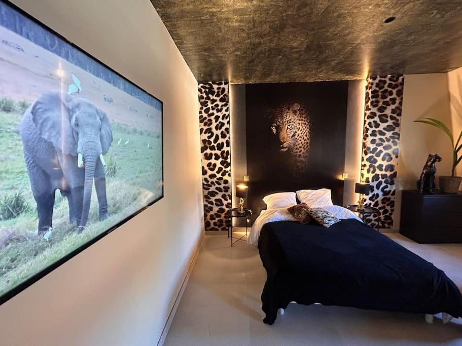 Esprit Africa, Spa Et Sauna De Luxe Mulhouse Extérieur photo